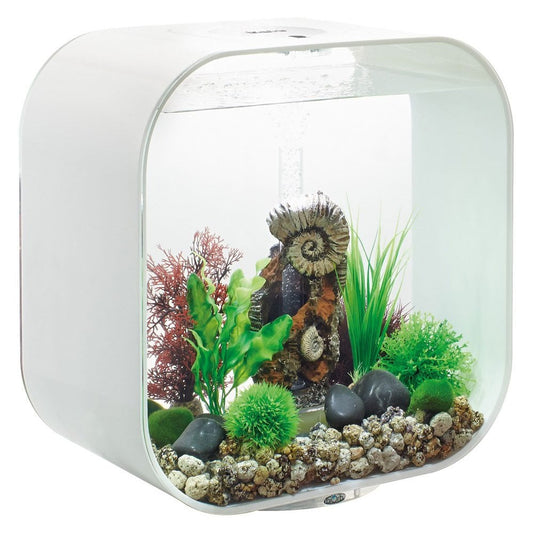 LIFE 30 Aquarium MCR LED - White