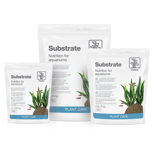 Substrate