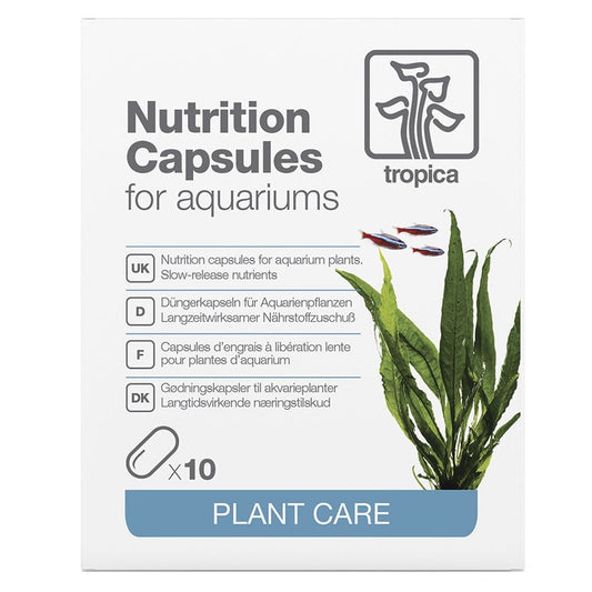 Nutrition Capsules