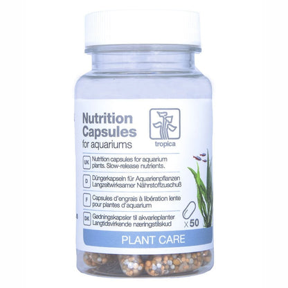 Nutrition Capsules