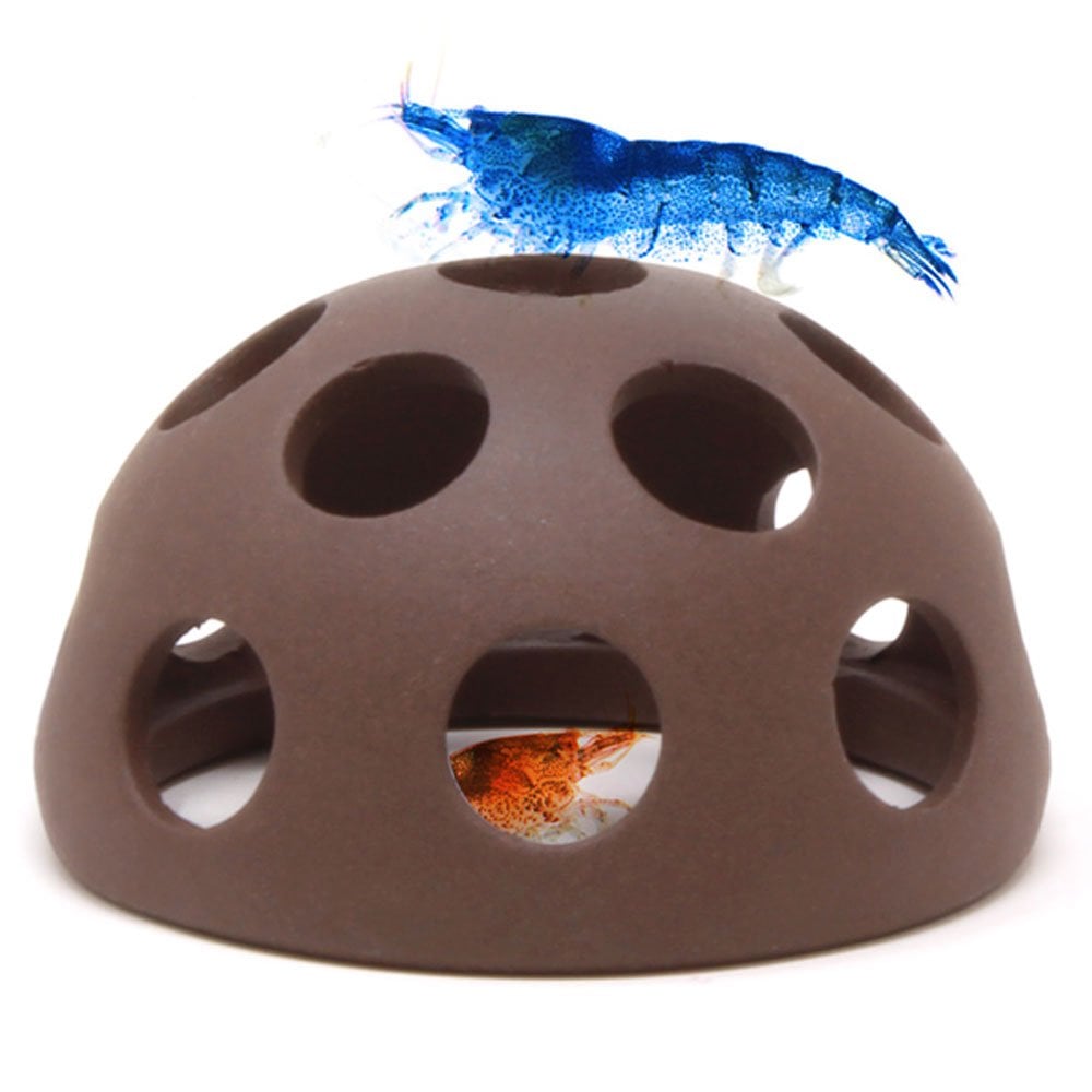 Shrimp Dome