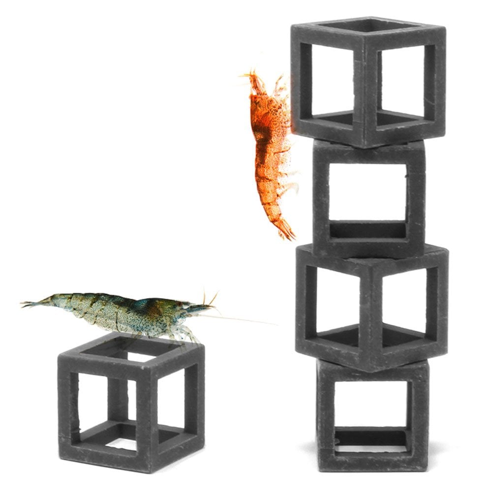 Shrimp Cubes
