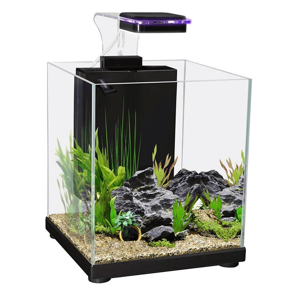 Betta Sanctuary Aquarium 10L - Black