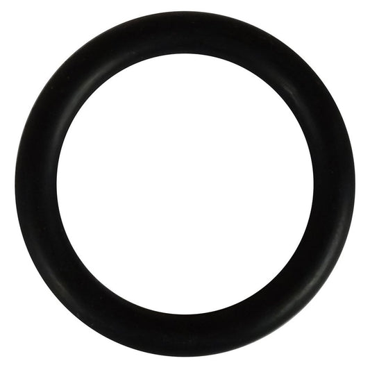 EVO UV Hosetail O-Ring