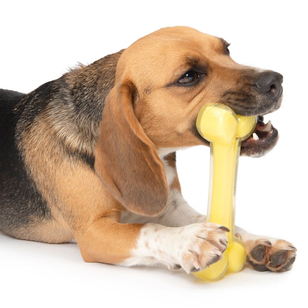 Duo Bone - Coconut 18cm