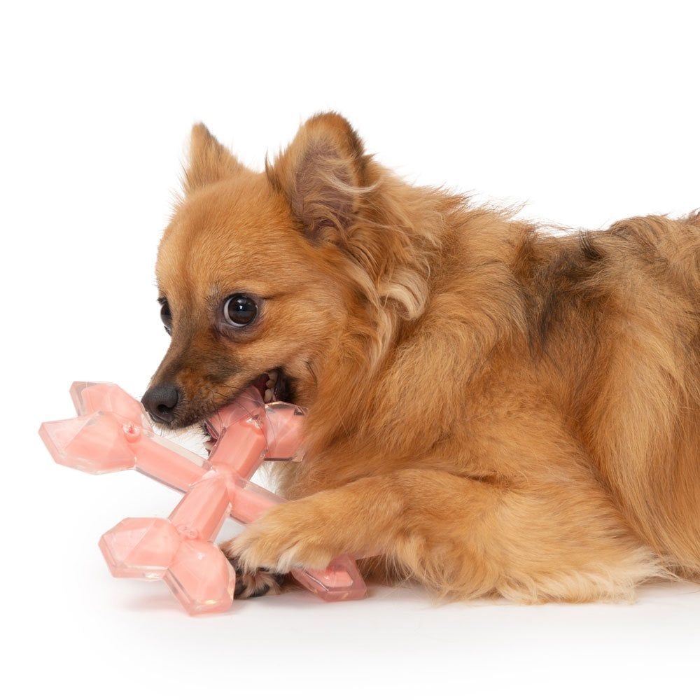 Duo Cross Bones - Chicken 15cm