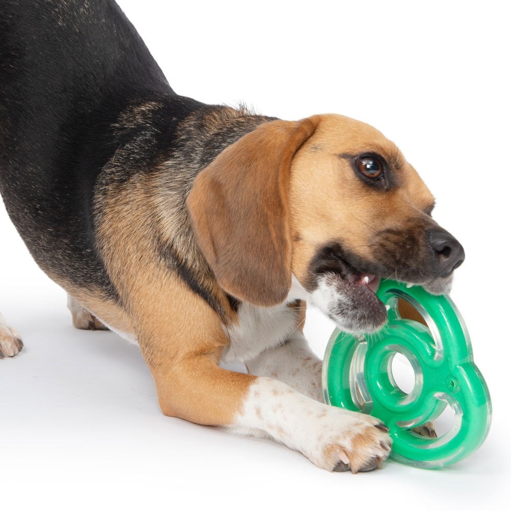 Duo Ninja Star - Mint 12.5cm