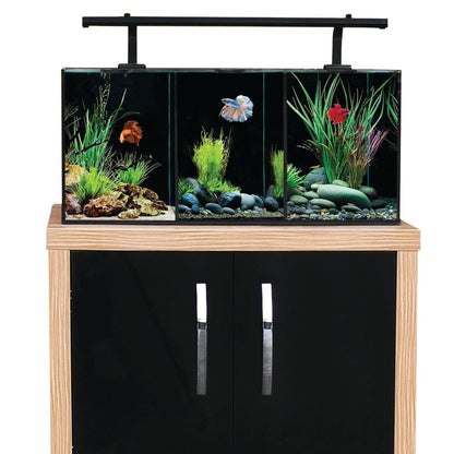 Betta Trio Aquarium 32L
