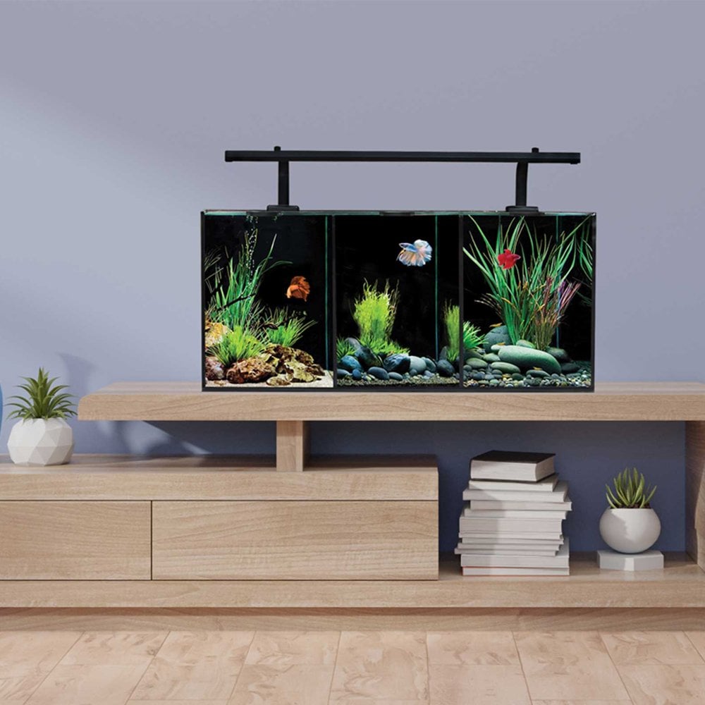 Betta Trio Aquarium 32L