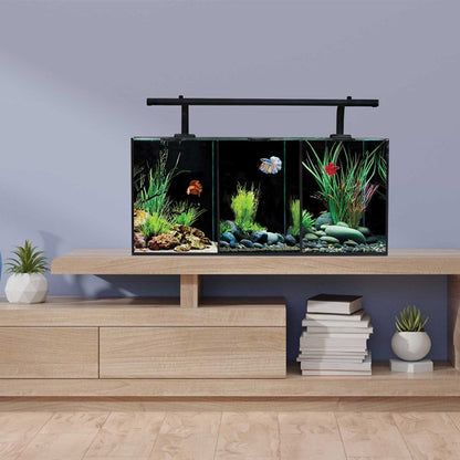 Betta Trio Aquarium 32L