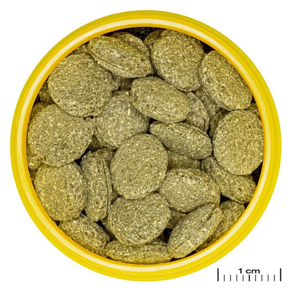 ProNovo Pleco Wafer M