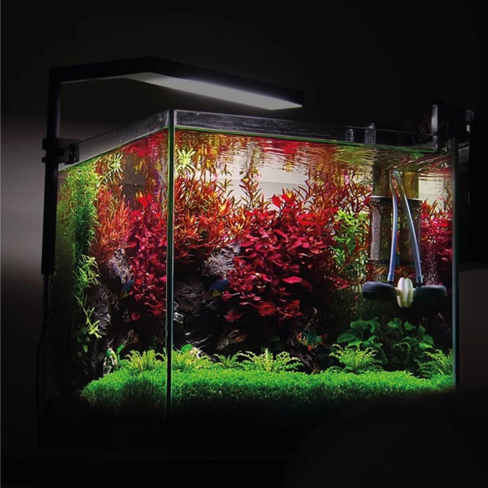 Flat Nano+ LED - Black