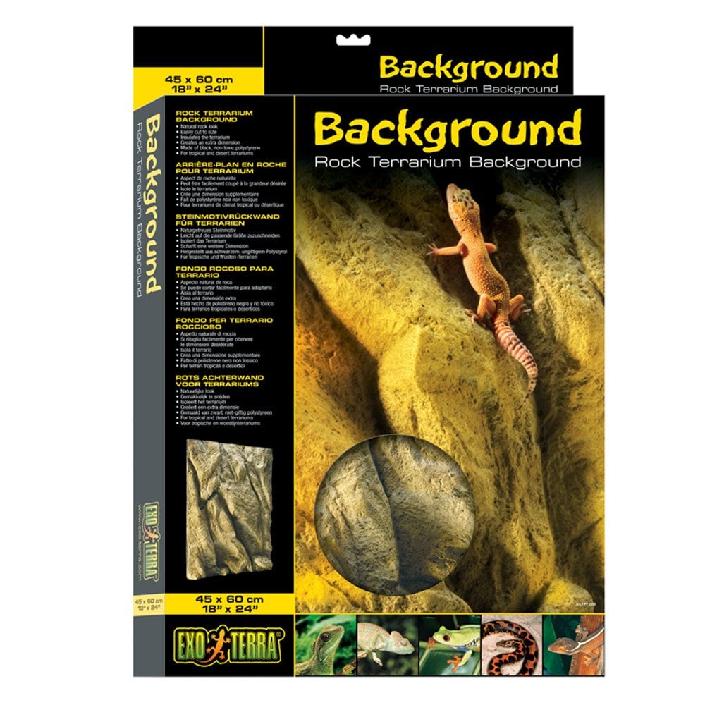 Rock Terrarium Background