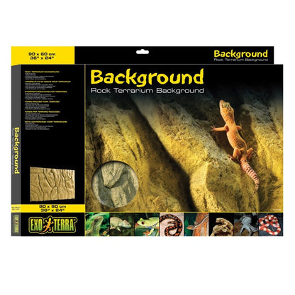 Rock Terrarium Background