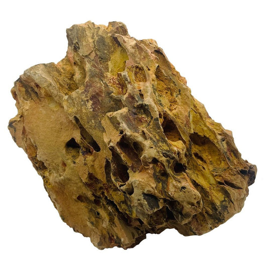 Dragon Stone