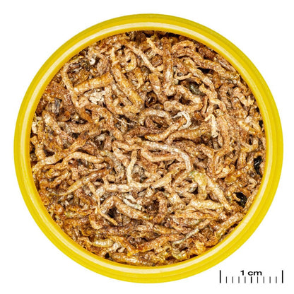 ProNovo Fil