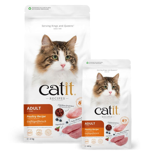 Recipes Adult Poultry Recipe Dry Cat Food