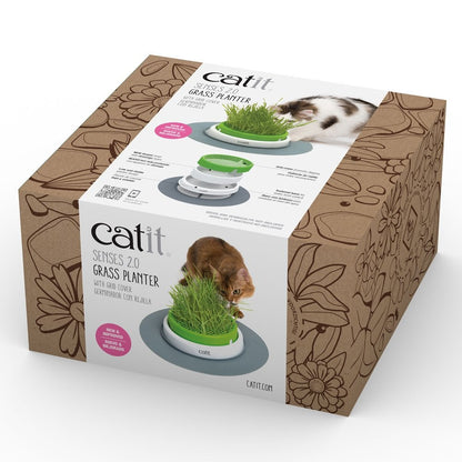 Senses 2.0 Grass Planter