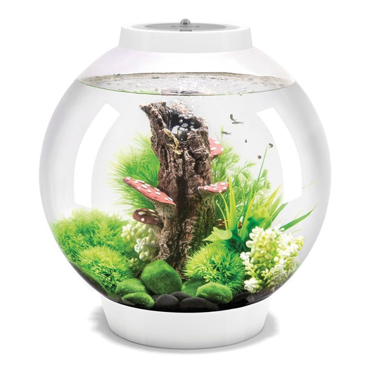 CLASSIC 30 Aquarium MCR LED - White