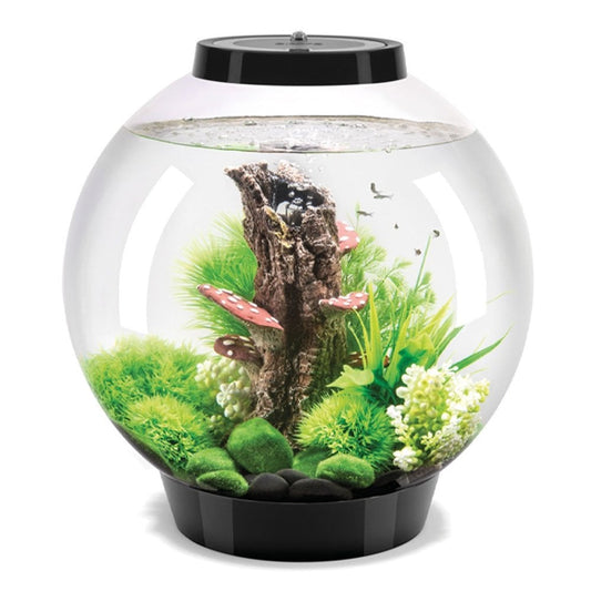 CLASSIC 30 Aquarium MCR LED - Black