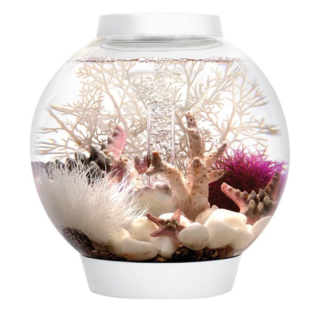 CLASSIC 15 Aquarium MCR LED - White