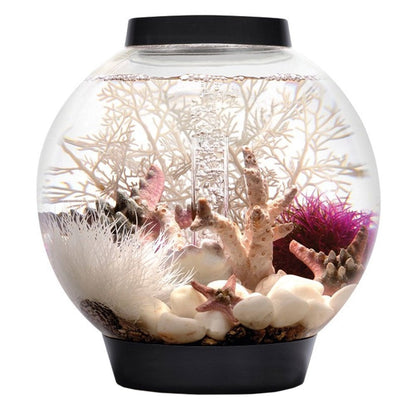 CLASSIC 15 Aquarium MCR LED - Black