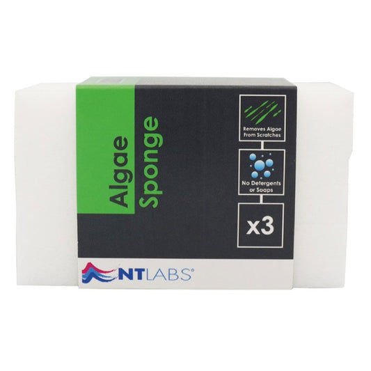 ProCare Algae Sponge (3pk)