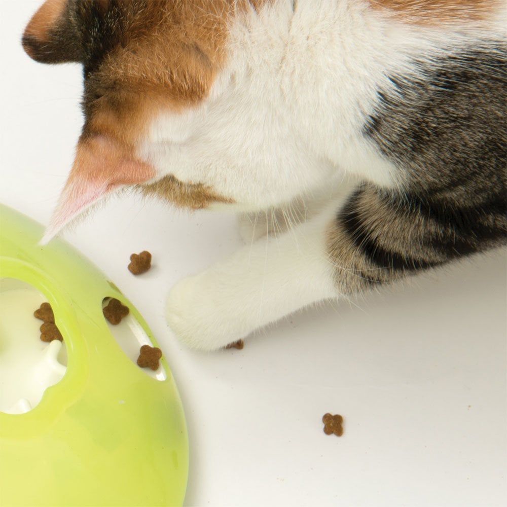 Play Treat Spinner