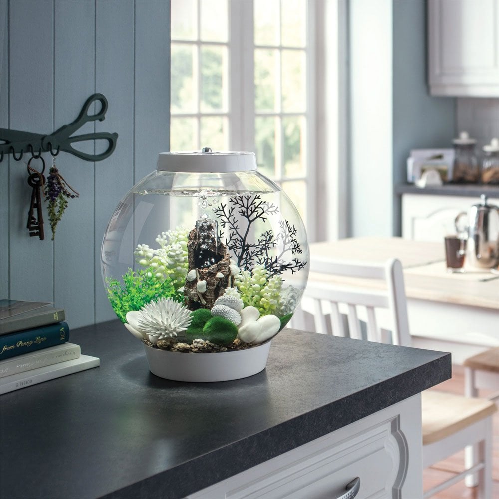 CLASSIC 15 Aquarium MCR LED - White