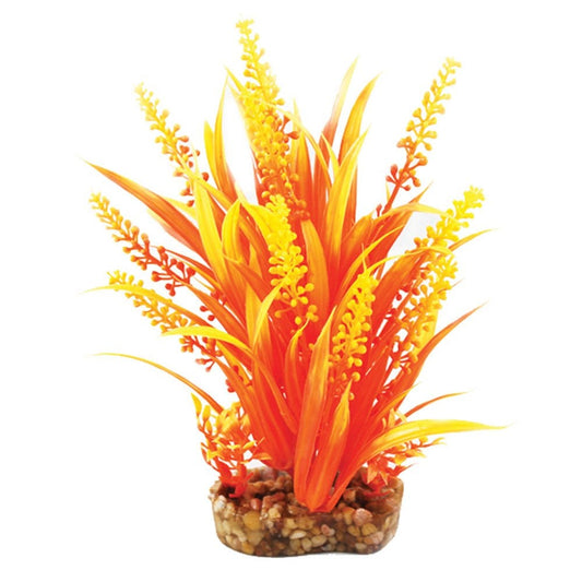 Vibrance Orange Cabomba 20cm