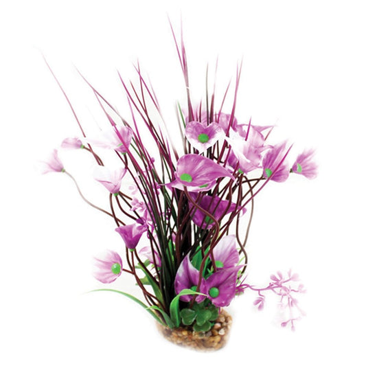 Vibrance Purple Villarsia/Hygrophila 20cm