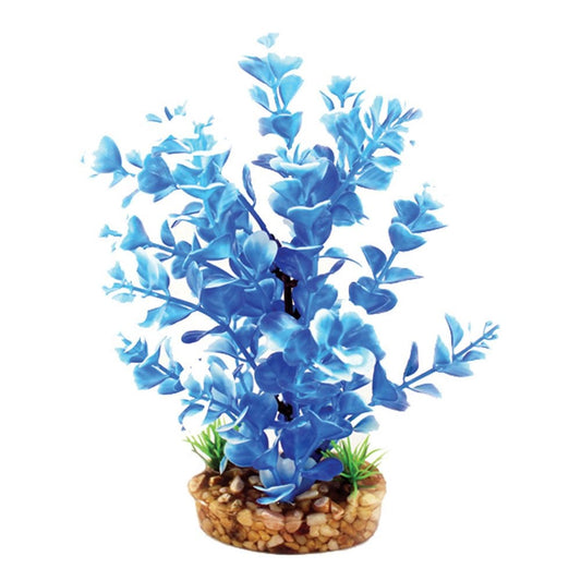 Vibrance Blue Ludwigia 20cm