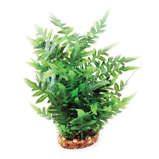 Vibrance Green Fern 30cm