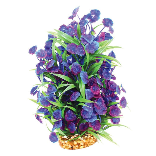 Vibrance Blue Centauria 30cm