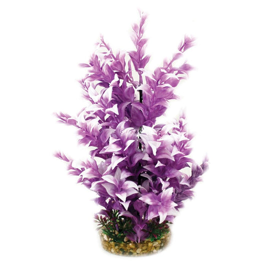 Vibrance Purple Ludwigia 30cm