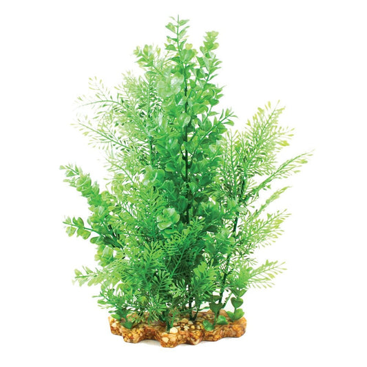 Vibrance Wisteria/Bacopa 40cm