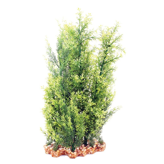 Vibrance Hygrophila/Ludwigia 40cm