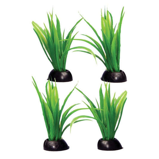 Ecoscape Foreground Green Lilaeopsis (4pk)