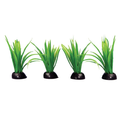 Ecoscape Foreground Green Lilaeopsis (4pk)