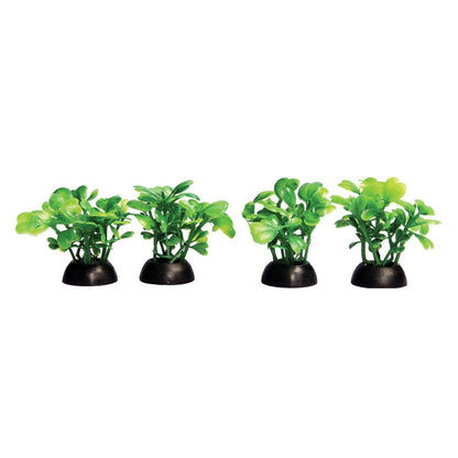 Ecoscape Foreground Green Lobelia (4pk)