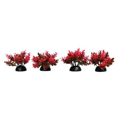 Ecoscape Foreground Red Catspaw (4pk)