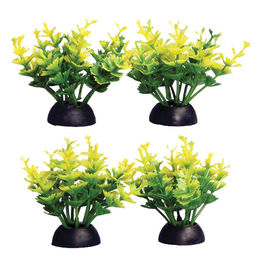 Ecoscape Foreground Yellow Catspaw (4pk)
