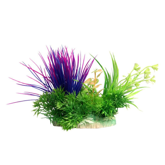 Ecoscape Purple Blyxa 10cm