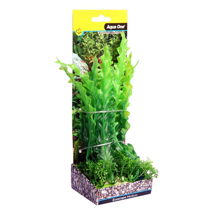 Ecoscape Green Ruffled Lace Plant 20cm