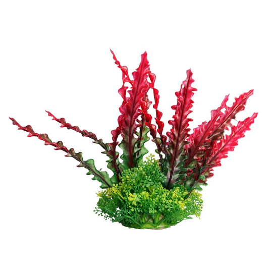 Ecoscape Red Ruffled Lace Plant 20cm