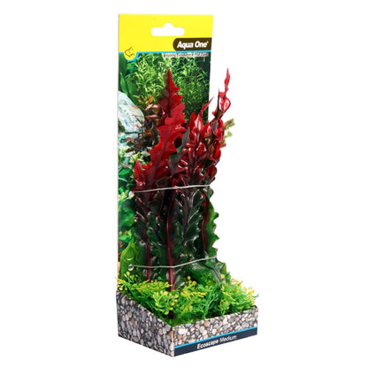 Ecoscape Red Ruffled Lace Plant 20cm