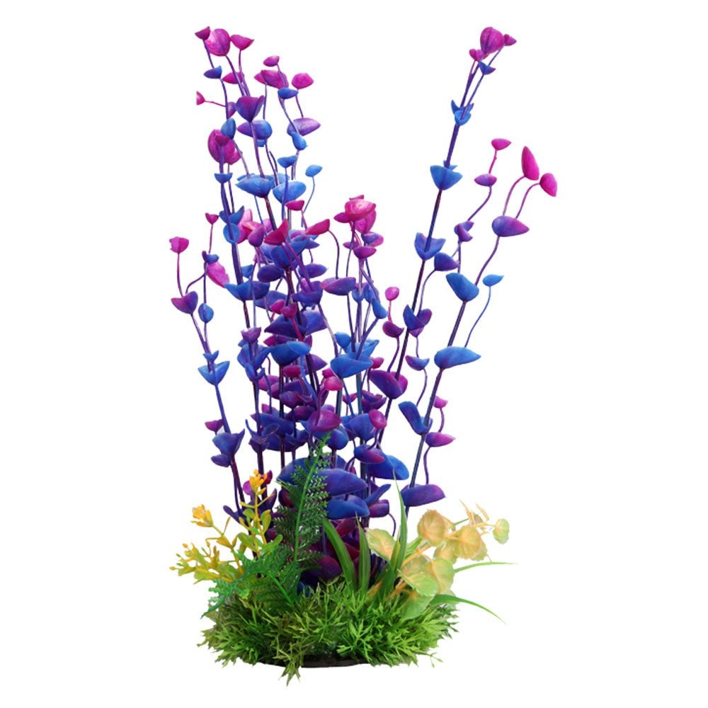 Ecoscape Purple Ogris Auribus 30cm