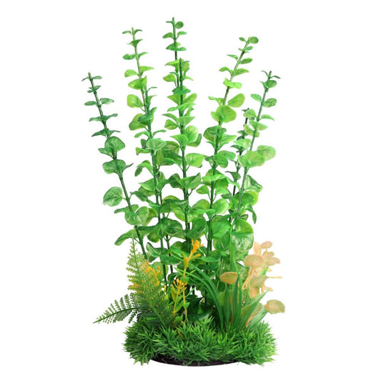 Ecoscape Green Baby Tears 30cm