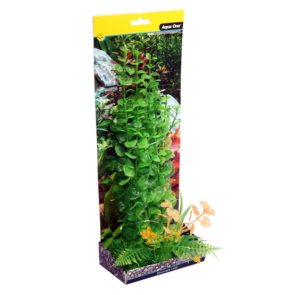 Ecoscape Green Baby Tears 30cm