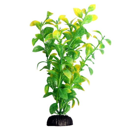 Ecoscape Green Hygro 20cm